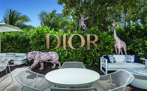 dior cafe